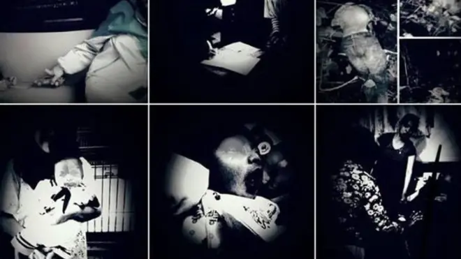 చిత్రాలు