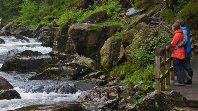 'Cwtch'是威尔士语拥抱的意思，但又远不止于此。