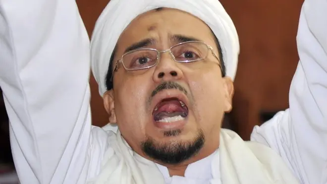 Pidato Rizieq itu telah ditayangkan oleh FPI ke Youtube dan antara lain dia mengatakan: "... Semuanya pakai palu arit. Yang 2 ribu, 10 ribu, 50 ribu pakai palu arit. Yang seribu pakai palu arit. Ini negara Pancasila atua PKI?..."