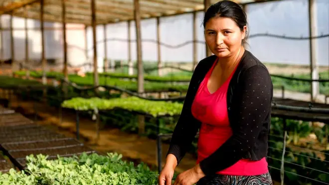 डलिना वेलासकेथ एक किसान हैं.