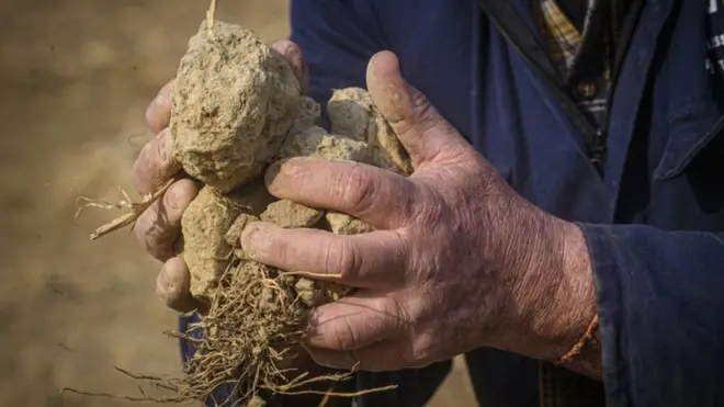 A farmer shows how drought has dried out his field in Milan, Italy
