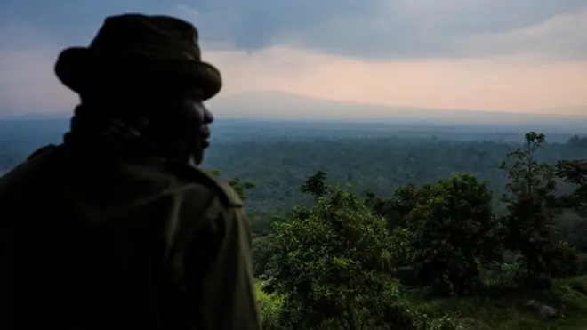 Créé en 1925, le parc national des Virunga est le plus ancien de la République démocratique du Congo