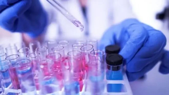 коронавирус хабарлари