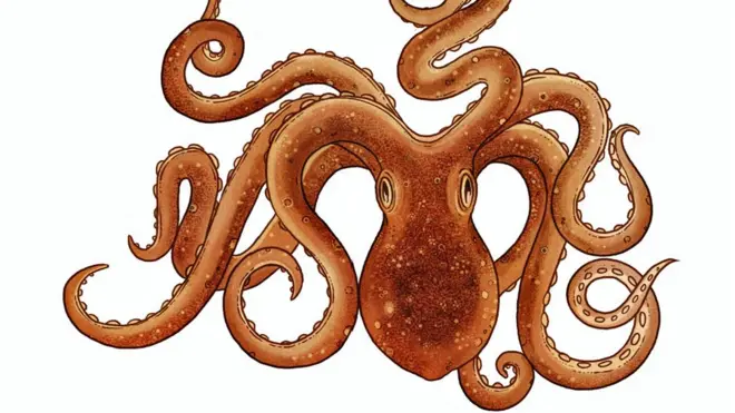 Ilustración de Katie Scott