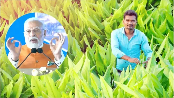 ప్రధాని మోదీ, పసుపు రైతు