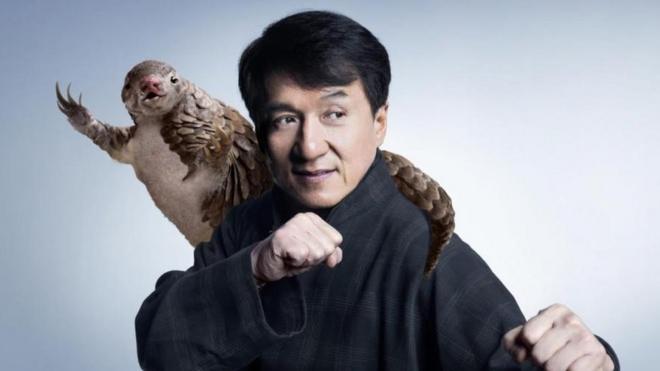 Jackie Chan and a pangolin