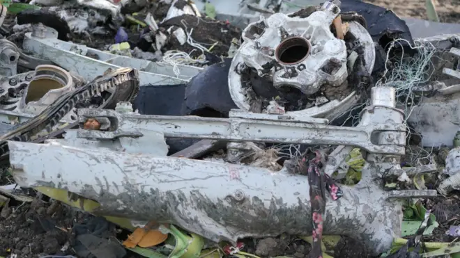 ዝተሓምሸሸት ነፋሪት