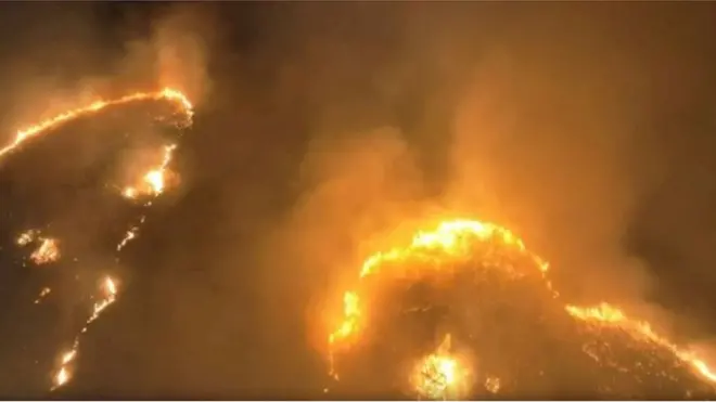 На Гаваях вирують лісові пожежі.