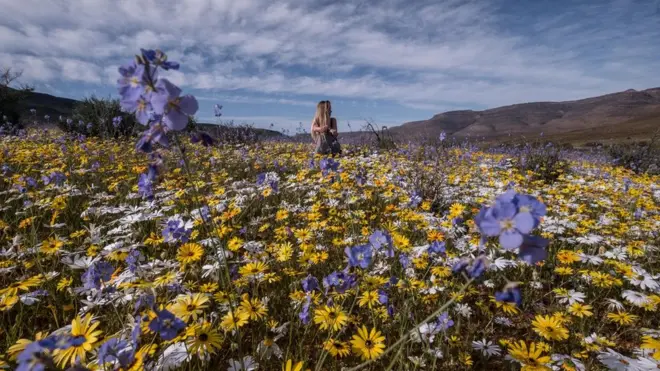 صحرا میں پھول