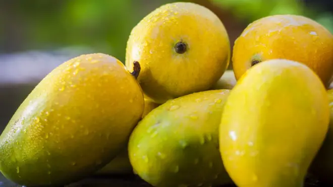 કેસર કેરીની તસવીર