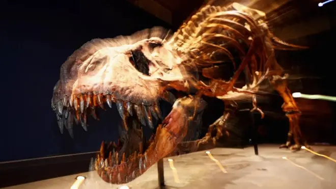 Trix, o T. Rex, estájogo da máquina caça níquelexibição no museujogo da máquina caça níquelLeiden, nos Países Baixos