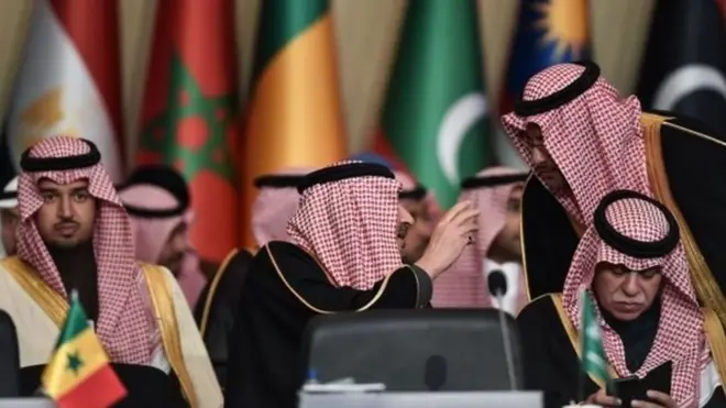 او آئی سی مسلم ممالک کی تعاون تنظیم ہے لیکن اس پر سعودی عرب کی اجارہ داری سمجھی جاتی ہے