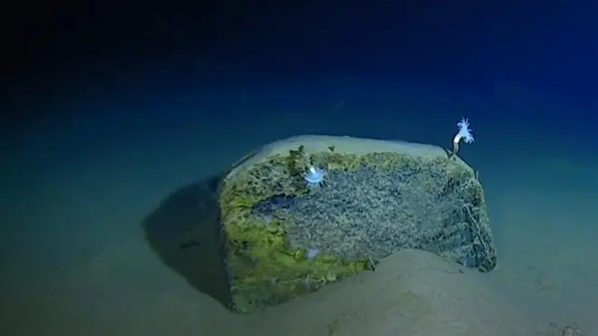 Mariana Trench: Deepest-ever sub dive finds plastic bag
