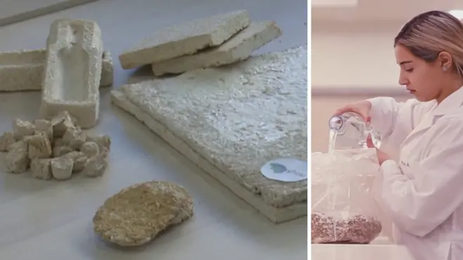 منتج يتحلل بعد استخدامه يقوم بنفس عمل الفلين الأبيض من ابتكار شركة ناشئة لبنانية