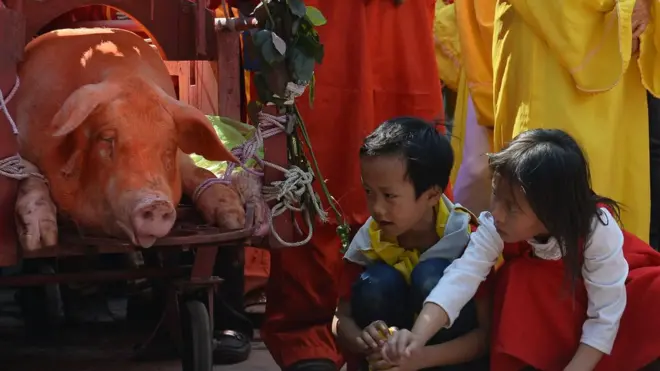 'Ông Ỉn' được rước khắp làng trước khi bị chém (ảnh lễ hội năm 2016)