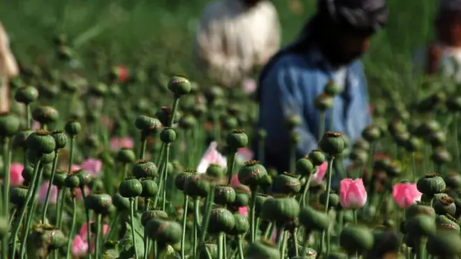 بلوچستان کے سرحدی اضلاع افغانستان میں تیار کی جانے والی منشیات کا بین الاقوامی طور پر سمگلنگ روٹ کا حصہ ہیں (فائل فوٹو)