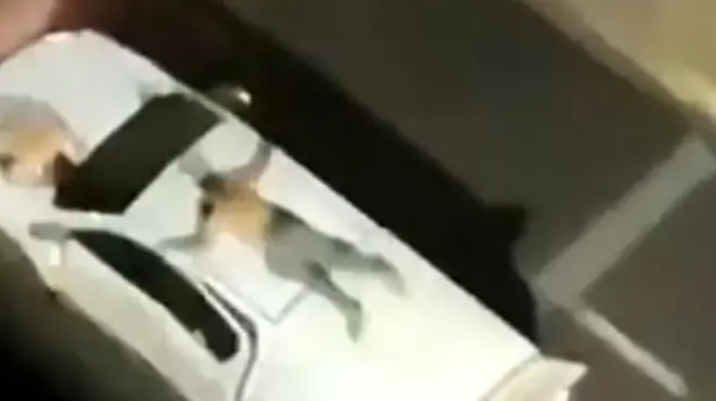@yurimacri