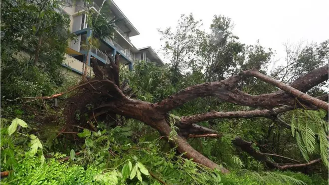 Ерлі-Біч, 28 березня