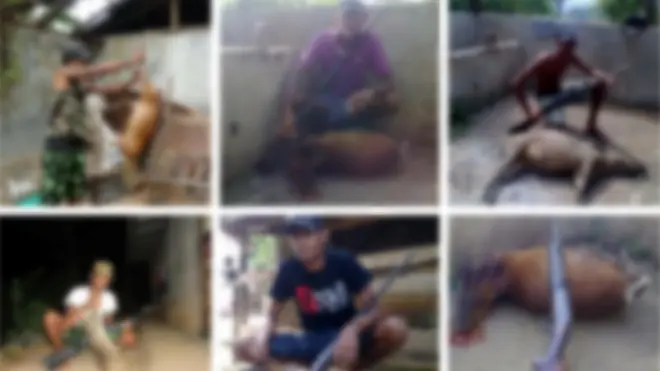 සැකකරුවන් විසින් දඩයම් කරන ලද බවට විශ්වාස කෙරෙන සතුන් සහ ඒ සඳහා යොදා ගත් ගිනි අවි ඇතුළත් ඡායාරූප සමාජ ජාල තුළ විශාල වශයෙන් හුවමාරු විය