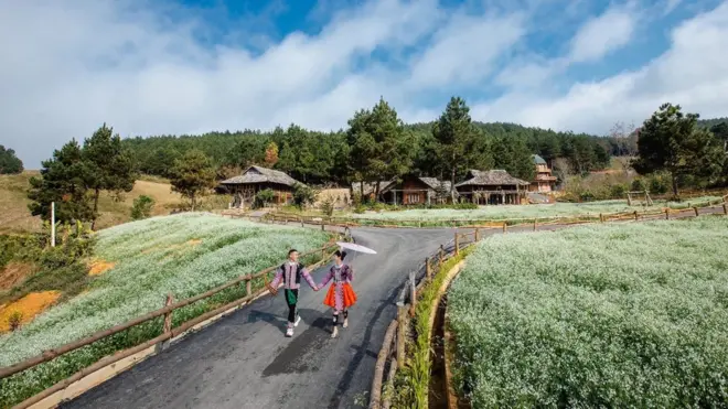 Nordic Village, homestay được xây dựng khá quy củ với vườn cải trắng thu hút nhiều du khách