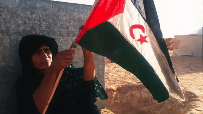 الصحراء الغربية: قصة أحد أطول النزاعات في أفريقيا