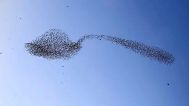 Mr Keshet wuxuu sheegay in sawirkan uu ka mid yahay kuwii ugu cajiibsanaa ee uu abid qaado