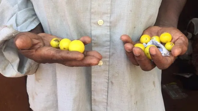 Tunguja inatumika kufundishia