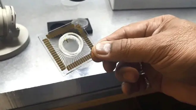 ڈاکٹر نوید سید امام