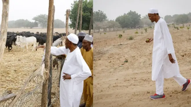 Aarẹ Buhari ni oko rẹ̀ nilu Daura