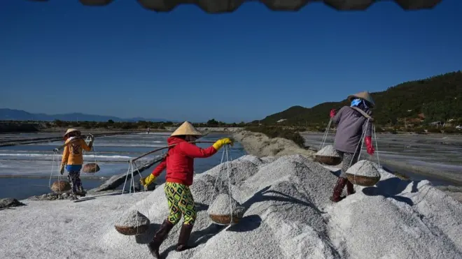 Cánh đồng muối - hình minh họa. Tác giả cho rằng kinh tế tư nhân ở VN cần được công nhận xứng đáng