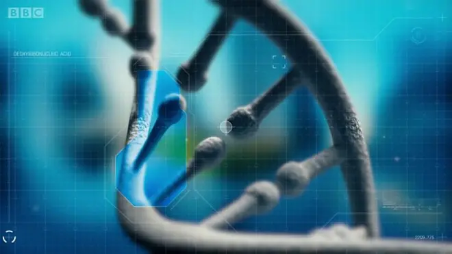 هل نتجه نحو تخزين البيانات في جيناتنا؟