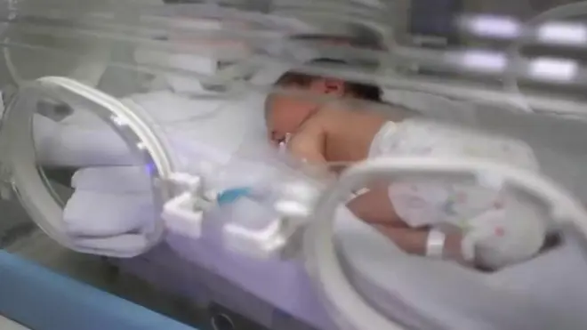 Artificial Womb