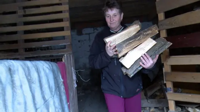 Женщина с охапкой дров