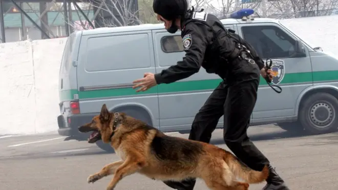 Напад скоїли під час планової інкасації банківського відділення