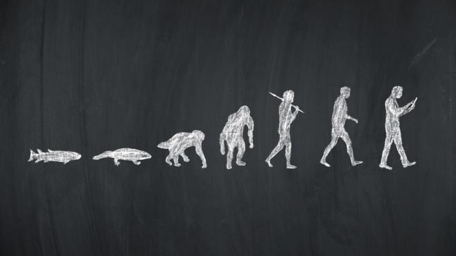 Imagem da evolução, com sete figuras, do peixe ao usuário de smartphone