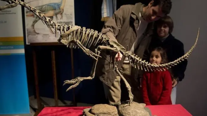 динозавр, скелет