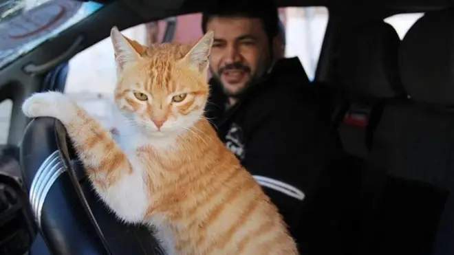 Alaa and a cat called Ernesto