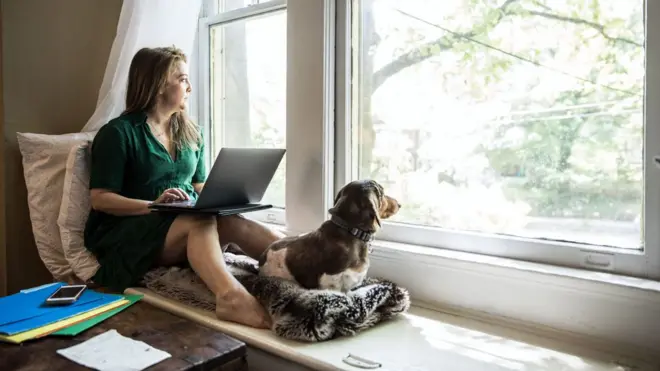 Mulher trabalhandoinstalar pixbetcasa com cachorro