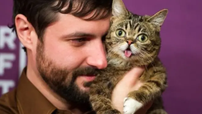 Lil Bub