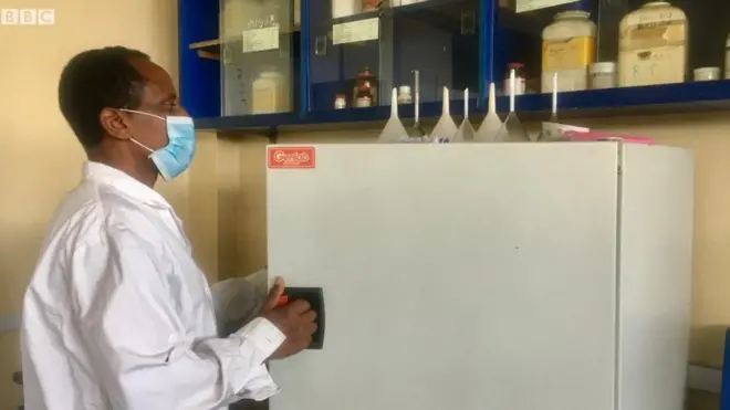 Obbo Warquu Gammachuu