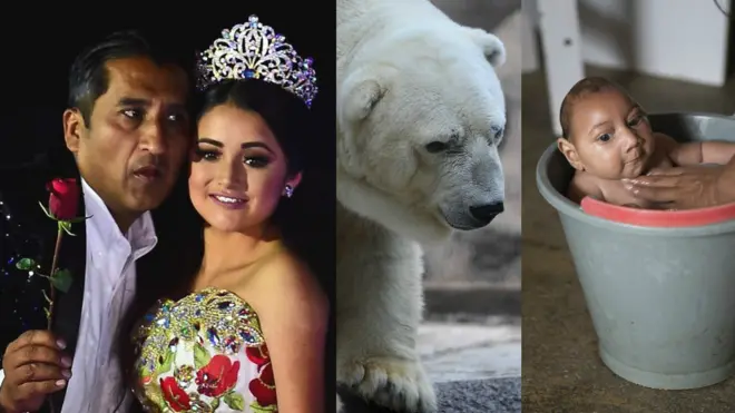 Rubí, oso Arturo y José Wesley