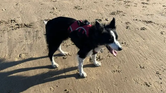 Ella enjoyed a final play on the beach at Fraisethorpe, East Yorkshire, on Monday