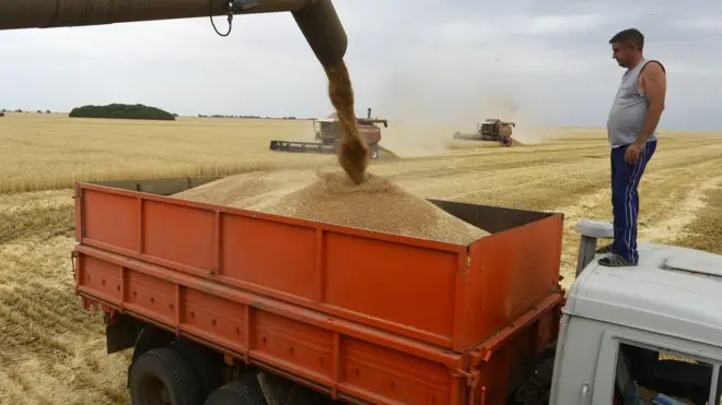 Погрузка пшеницы в зерновоз