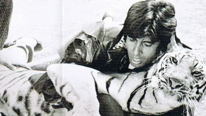 फ़िल्म ख़ून पसीना के एक सीन में टाइगर के साथ लड़ते अमिताभ बच्चन