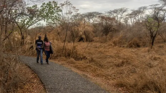 Une série de vagues de chaleur a asséché la majeure partie de la végétation entourant les chutes Victoria, au Zimbabwe, fin 2019