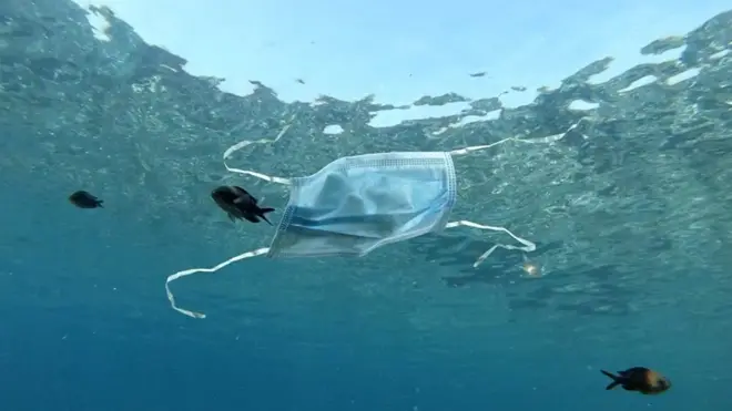 Маска в море