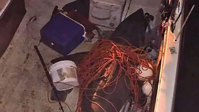 Влада заявляє, що акула сягала 2,7 м завдовжки