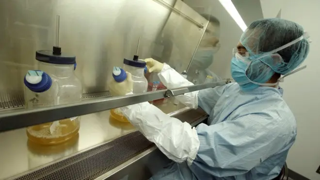 Вакциона против Зики пока не найдена