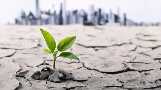 නියඟය දිනෙන් දින සාමාන්‍ය අත්දැකීමක් බවට පත් වෙමින් පවතී