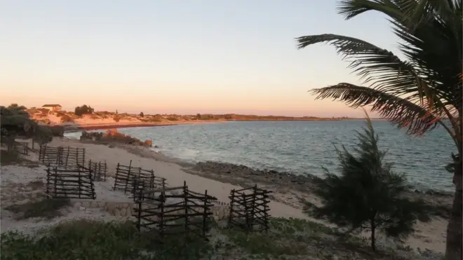 La isla de Madagascar se despegó de África hace unos 150 millones de años